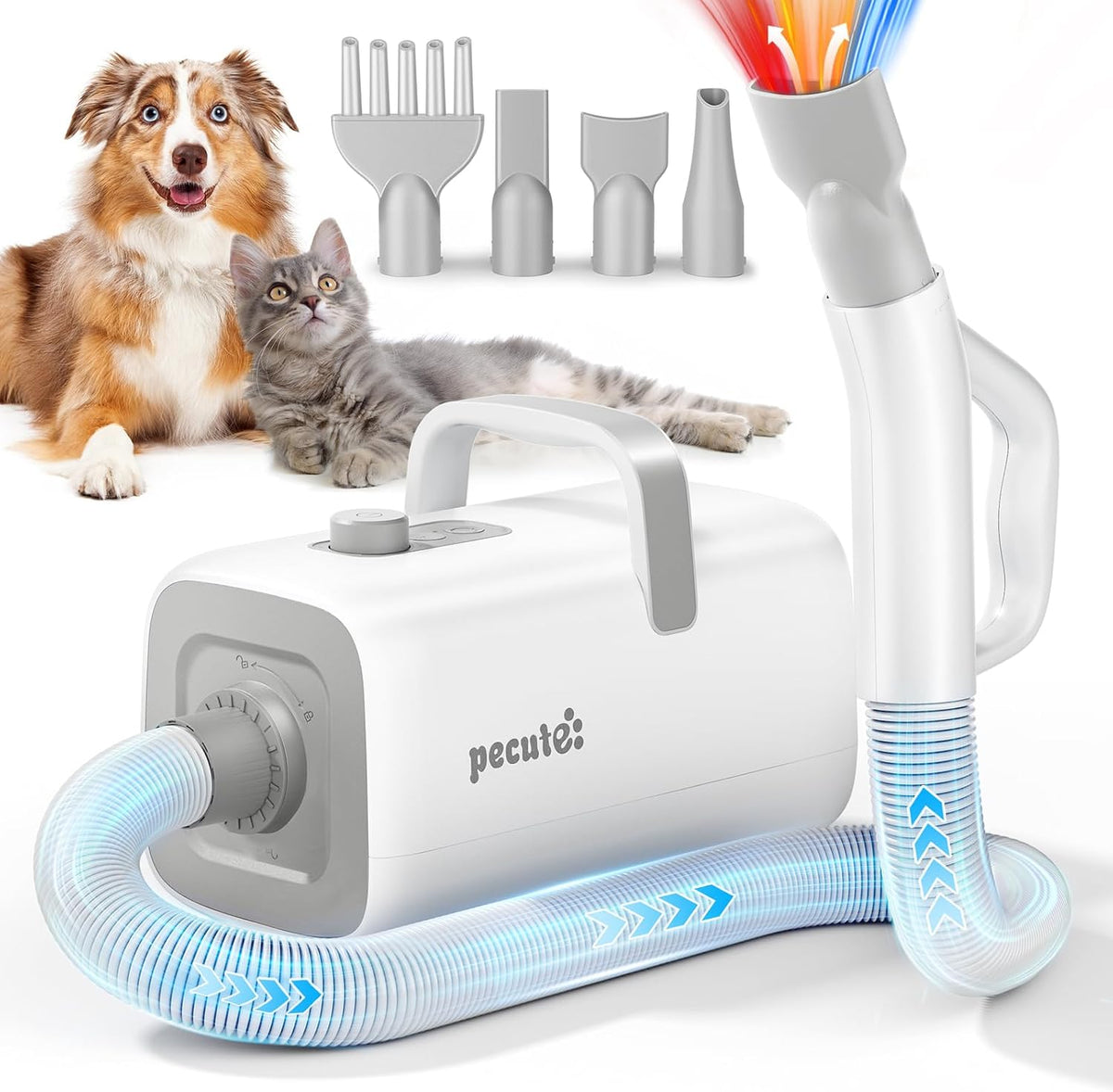 Pecute Pulseur pour Chien Caniche, Professionnelle Souffleur pour Chiens